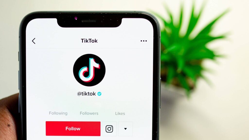 Past TikTok in je social media marketing strategie?